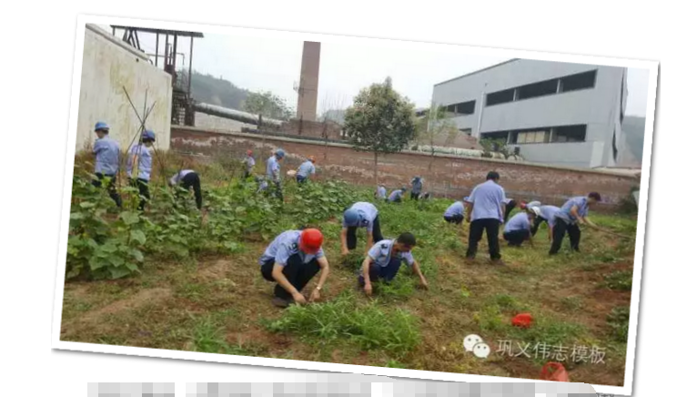 員工冒雨參加義務勞動！感動———偉志鋼模板廠家