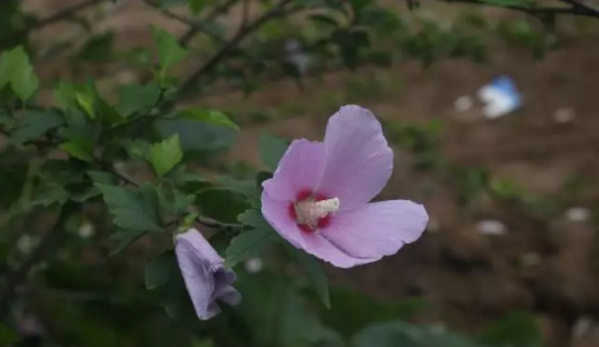 探索偉志鋼模板廠---細微深處的秘密