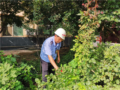 河南偉志模板來保軍——美麗的花園，來自辛勤的勞動